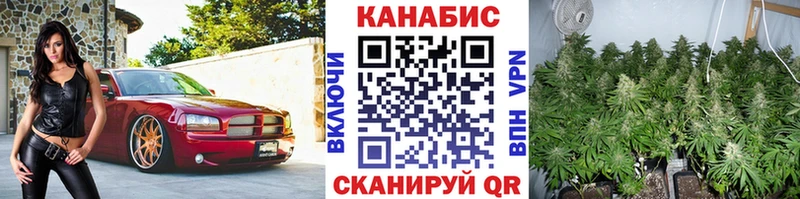 Бошки Шишки конопля  Тара 